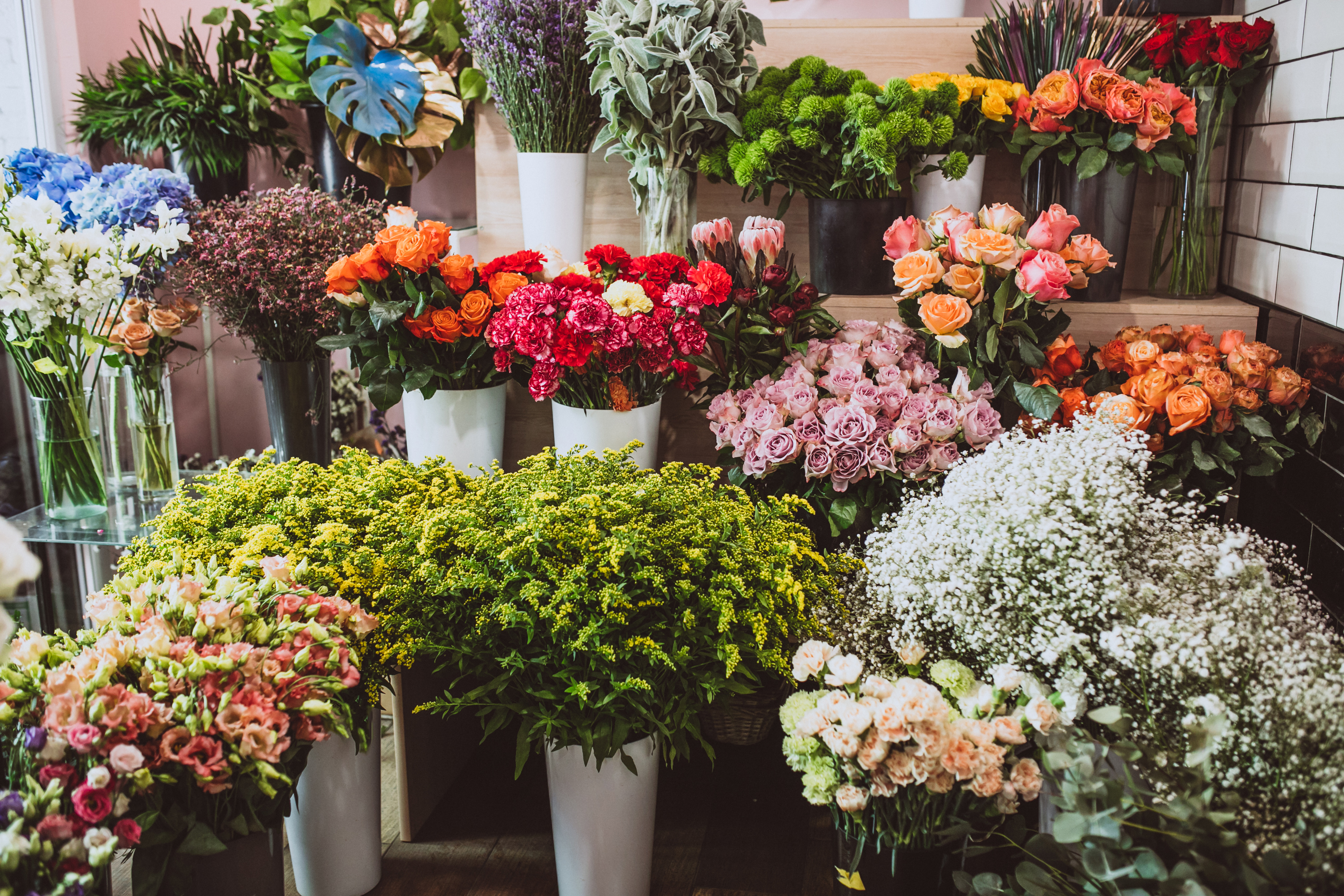 Blumenwerkstatt Ulm