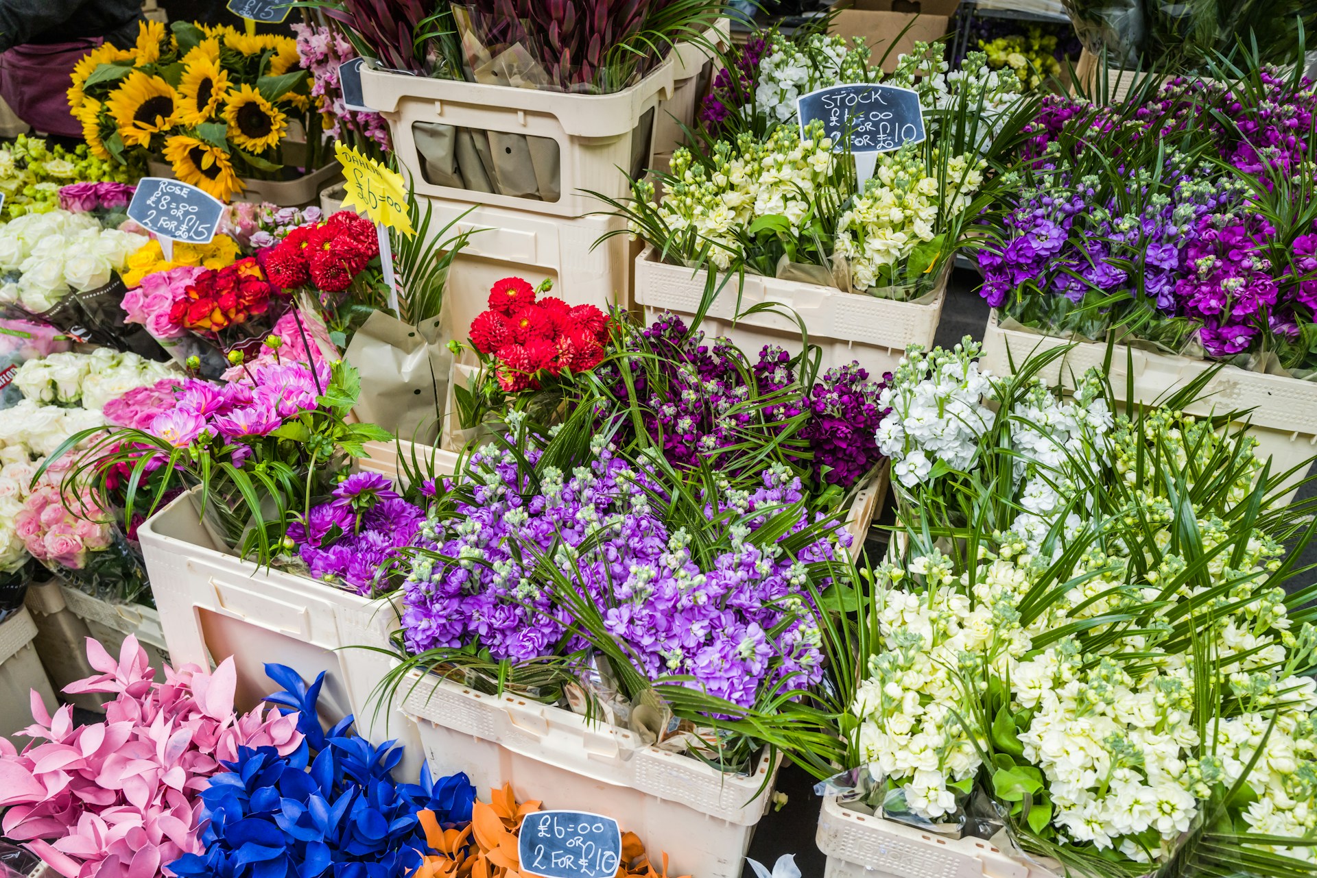 Ulm im Frühling: 5 Tipps für die schönste Jahreszeit